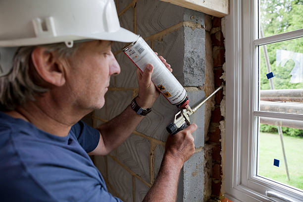 Best Specialized Insulation Services in Tigerville, SC