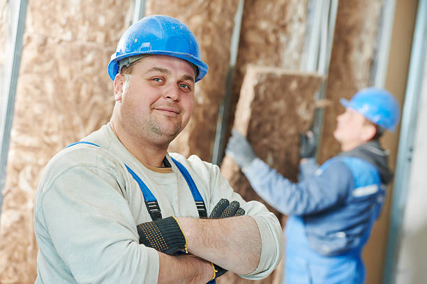 Best Eco-Friendly Insulation in Tigerville, SC